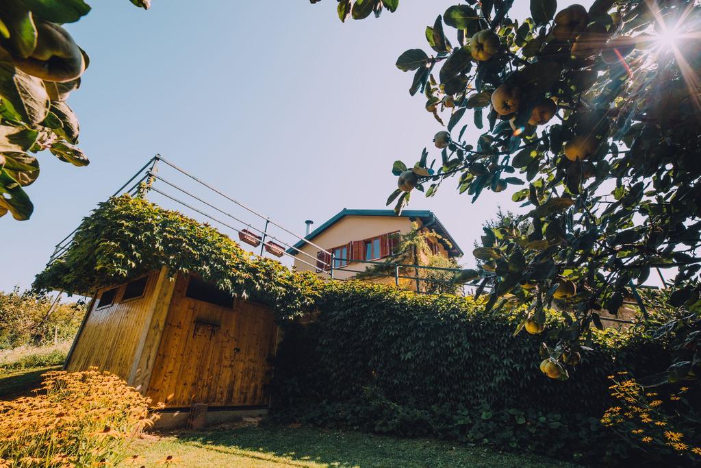 Holiday Home Castanea Praporcan Exterior foto
